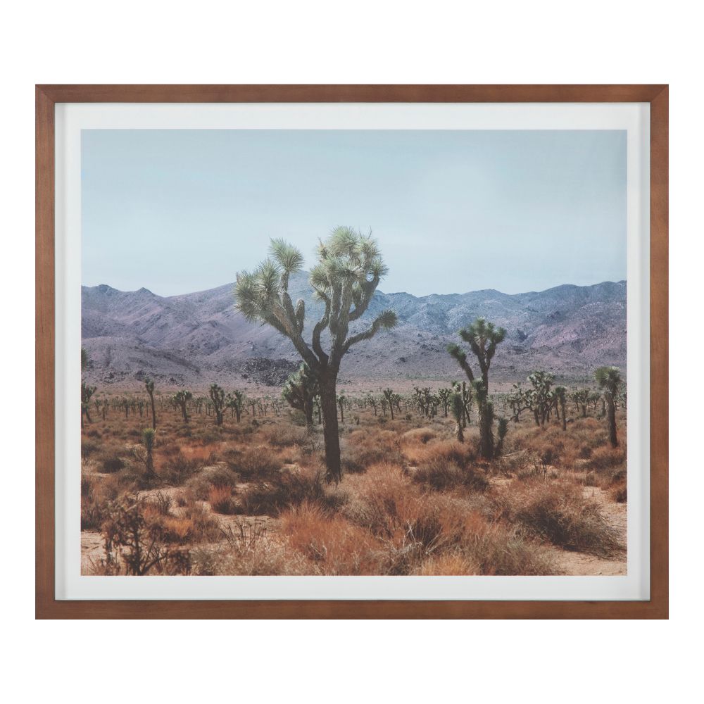 Moes Home Collection WP-1280-37 Desert Land Framed Print