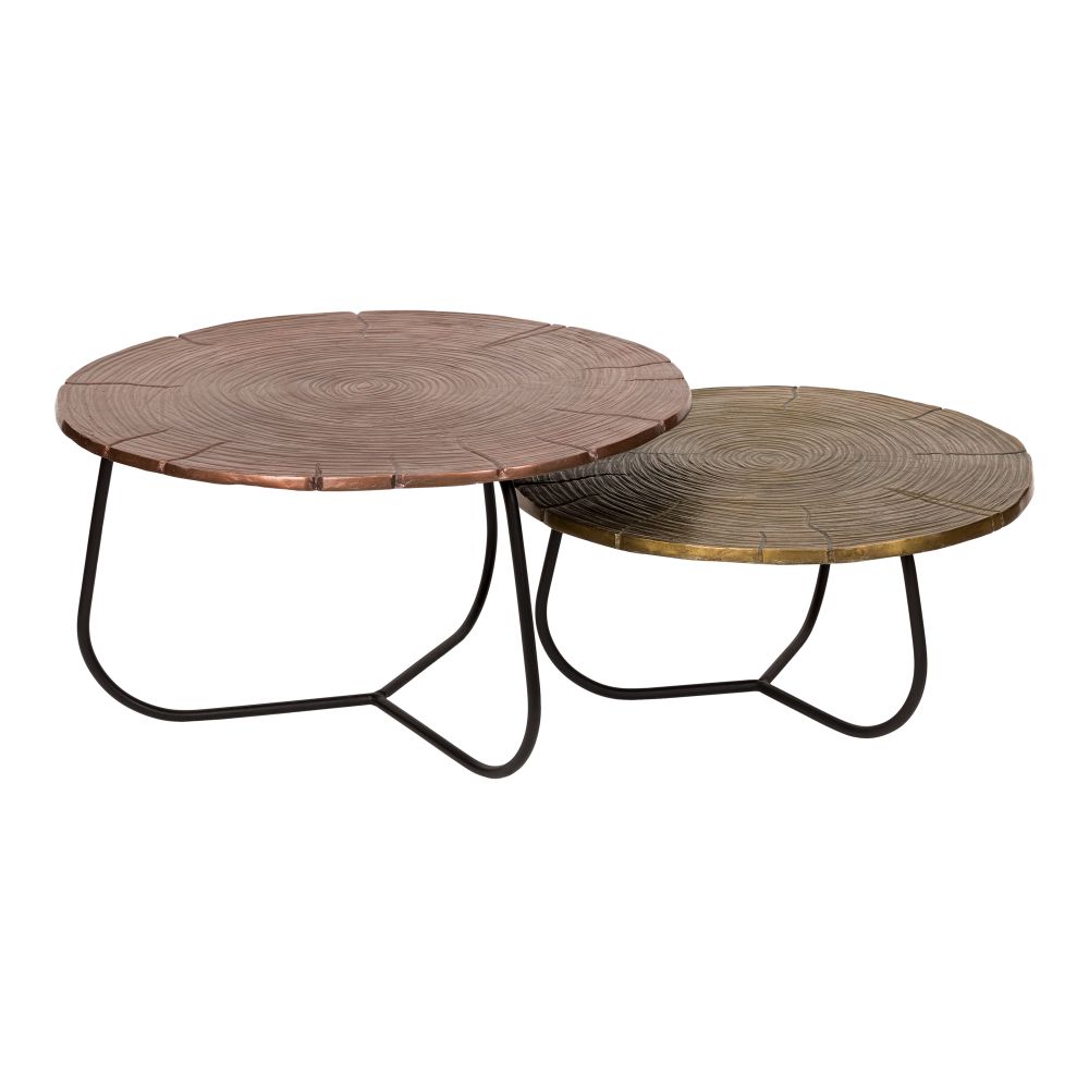 Moes Home Collection ZY-1010-37 Cross Section Set Of 2 Tables in Multicolor