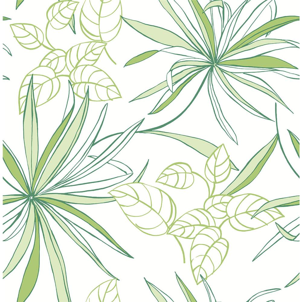NextWall NW36304 Sidewall Spider Plants Peel & Stick Wallpaper in Green