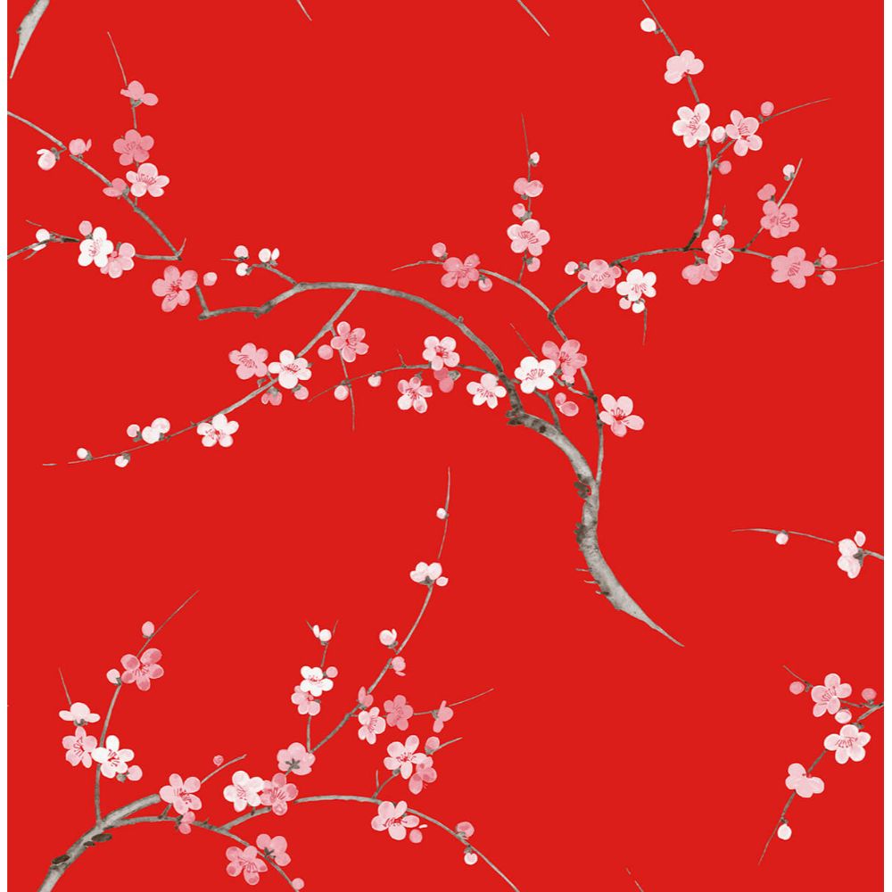 NextWall NW38301 Cherry Blossom Floral Wallpaper in Scarlet & Petal Pink