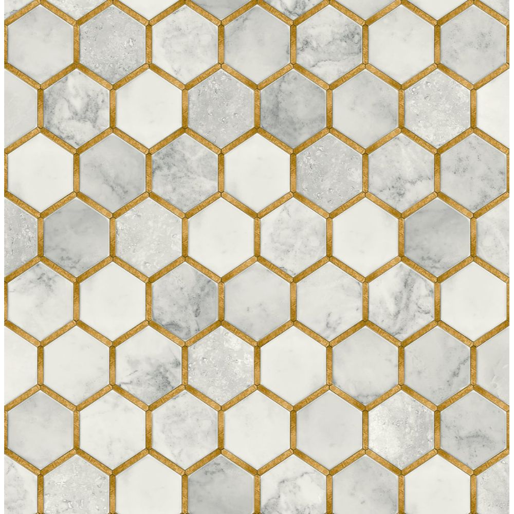 NextWall NW38605 Inlay Hexagon Wallpaper in Alaska Grey & Metallic Gold