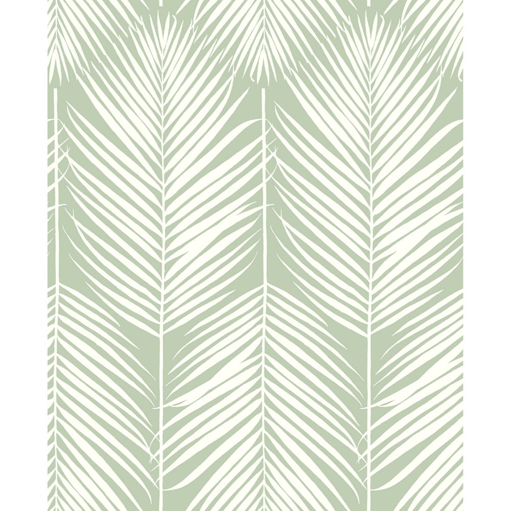 NextWall NW39804 Palm Silhouette Wallpaper in Pastel Green