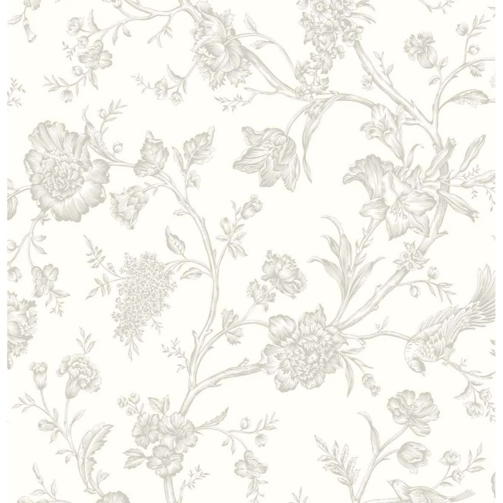 NextWall NW43405 Jasmine Chinoiserie Wallpaper in Grey