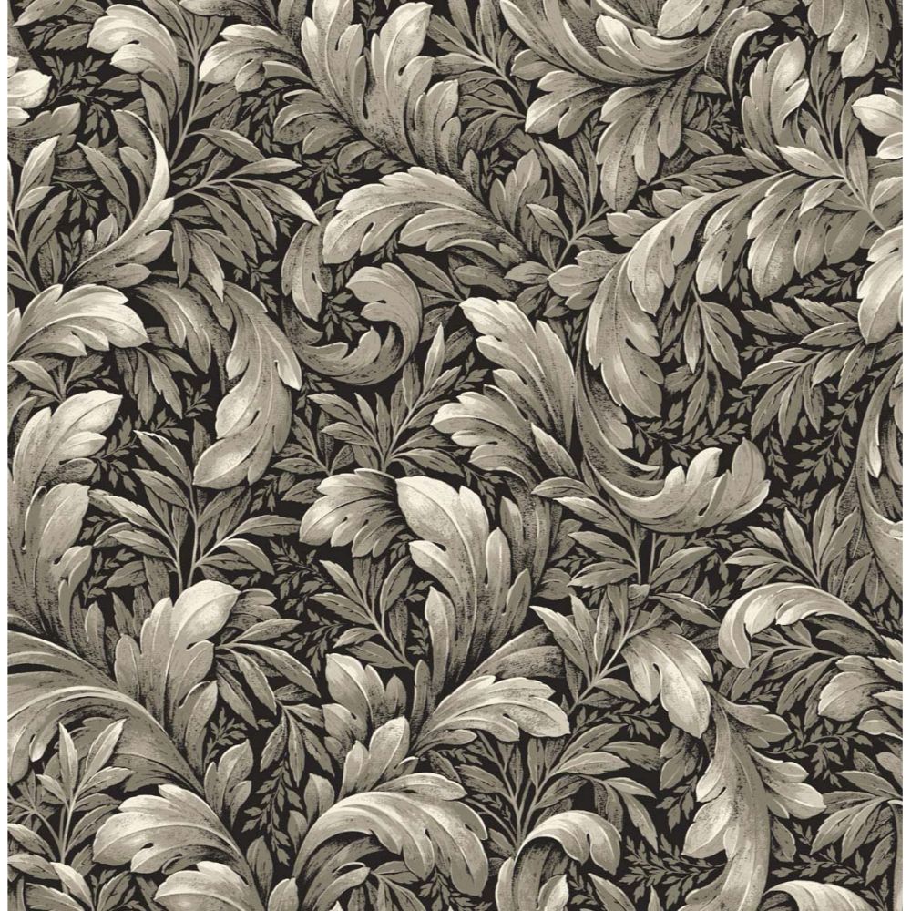NextWall NW43600 Acanthus Trail Wallpaper in Black