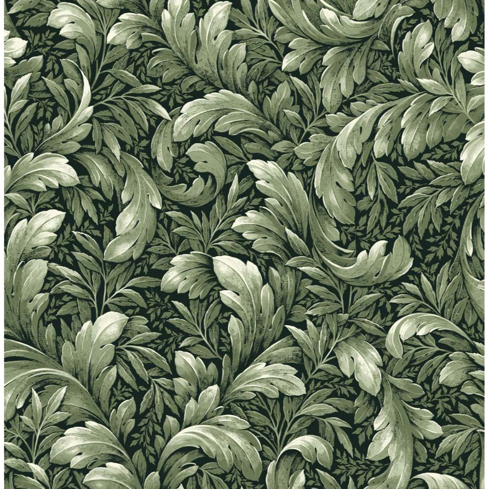 NextWall NW43604 Acanthus Trail Wallpaper in Green