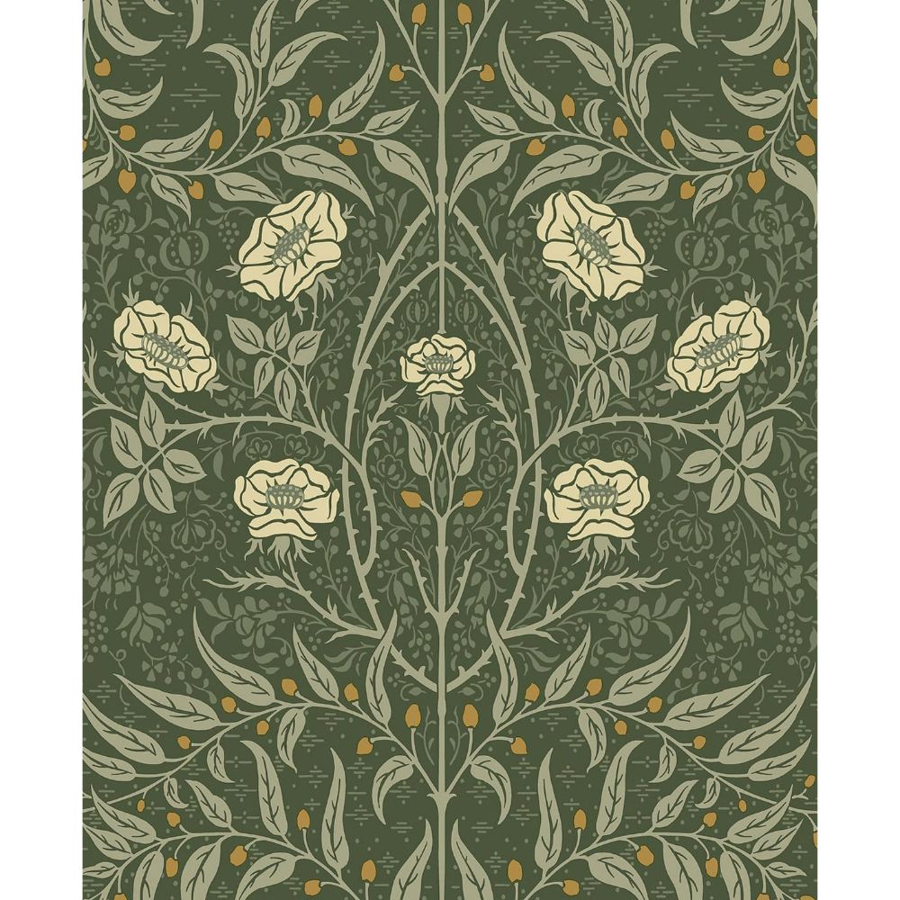 NextWall NW43904 Stenciled Floral Wallpaper in Green