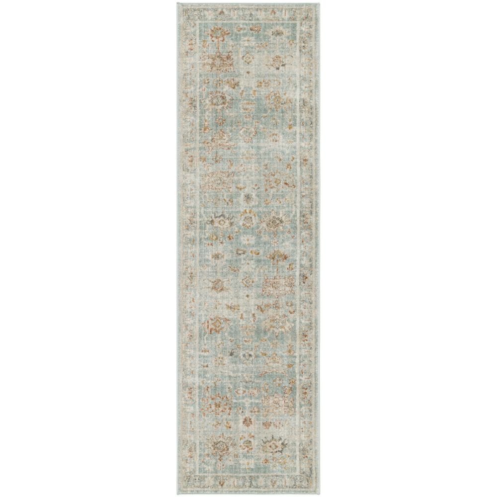 Nourison TRH02 Traditional Home Area Rug in Light Blue, 2