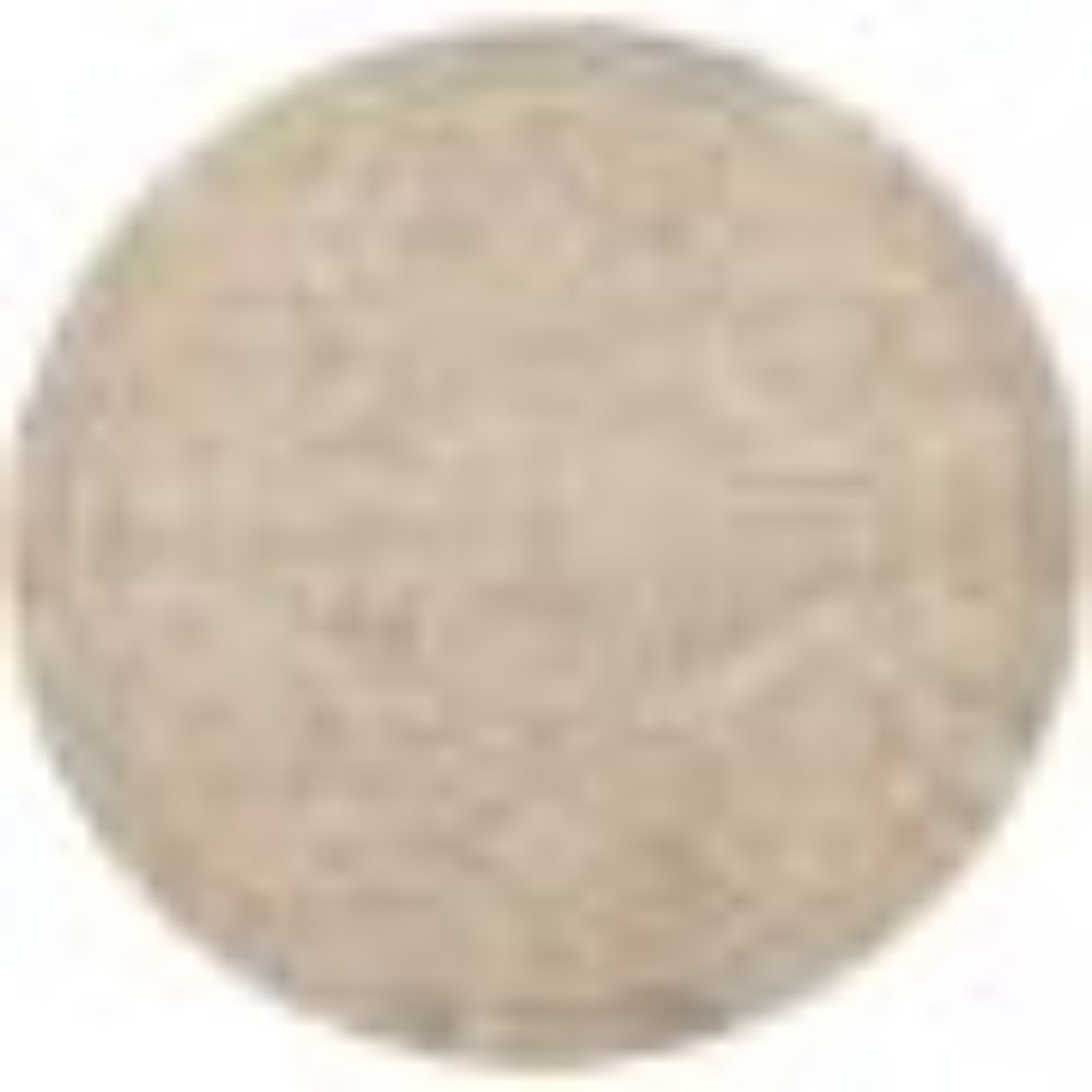 Nourison TRA13 Tranquil Area Rug - 7 ft. 10 in. in Beige/Grey