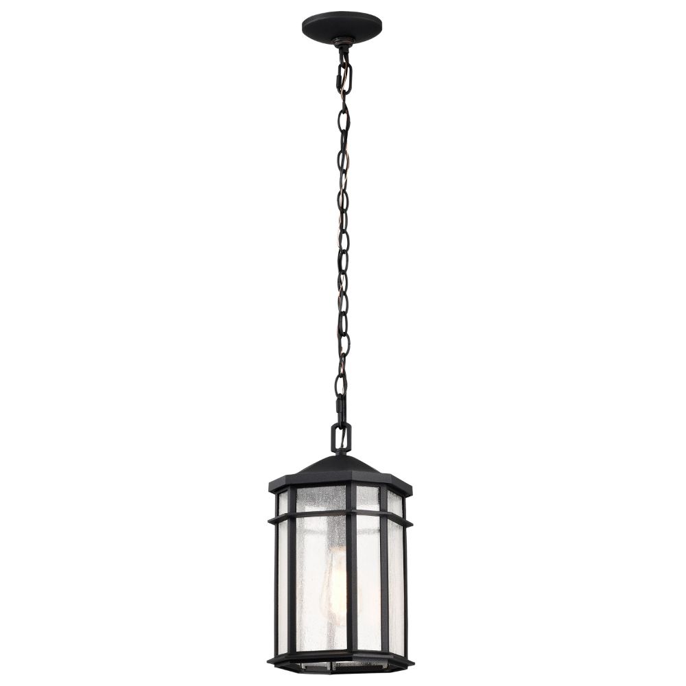 Nuvo 60-5759 Raiden Collection Outdoor 14.5 inch Hanging Light; Matte Black Finish with Clear Seedy Glass
