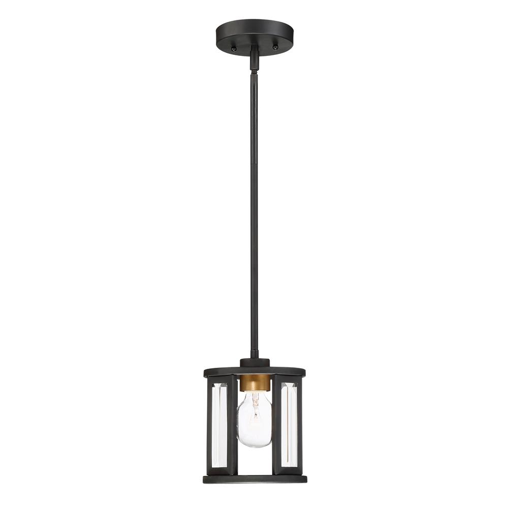 Nuvo Lighting 60/6412  Payne - 1 Light Mini Pendant With Clear Beveled Glass in Black Finish