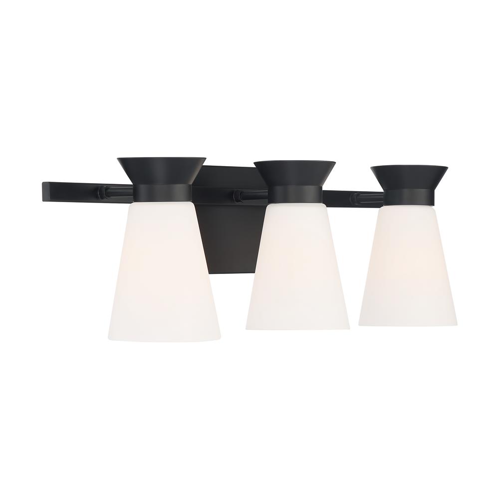 Nuvo Lighting 60-7313 Caleta 3 Light Vanity with Cylindrical Glass in Black