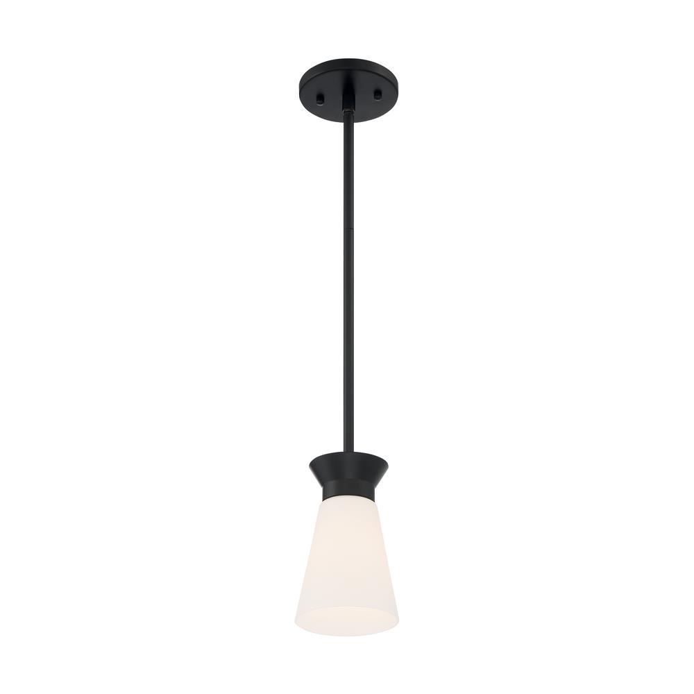 Nuvo Lighting 60-7314 Caleta 1 Light Mini Pendant with Cylindrical Glass in Black