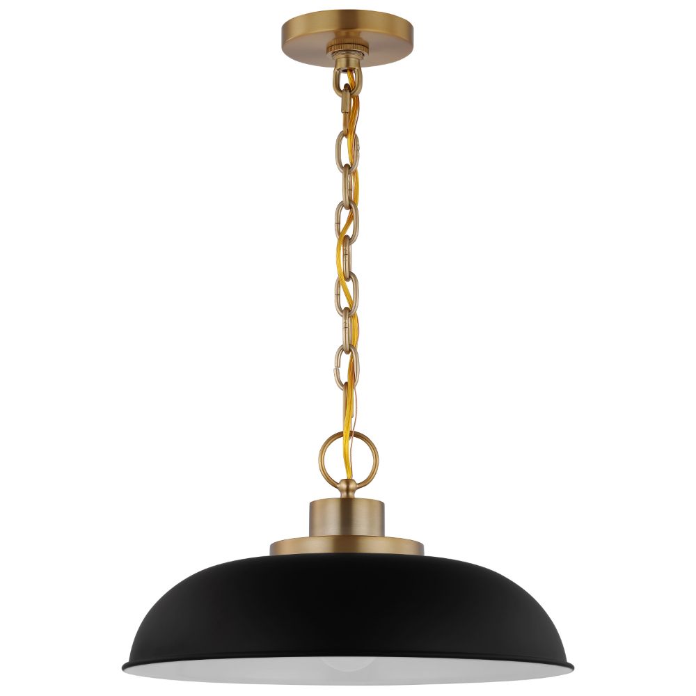 Nuvo Lighting 60/7481 Colony 1 Light Small Pendant In Matte Black / Burnished Brass