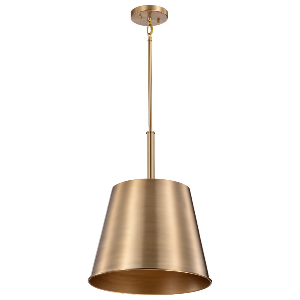 Nuvo 60-7938 Alexis 1 Light Large Pendant; Burnished Brass and Gold Finish