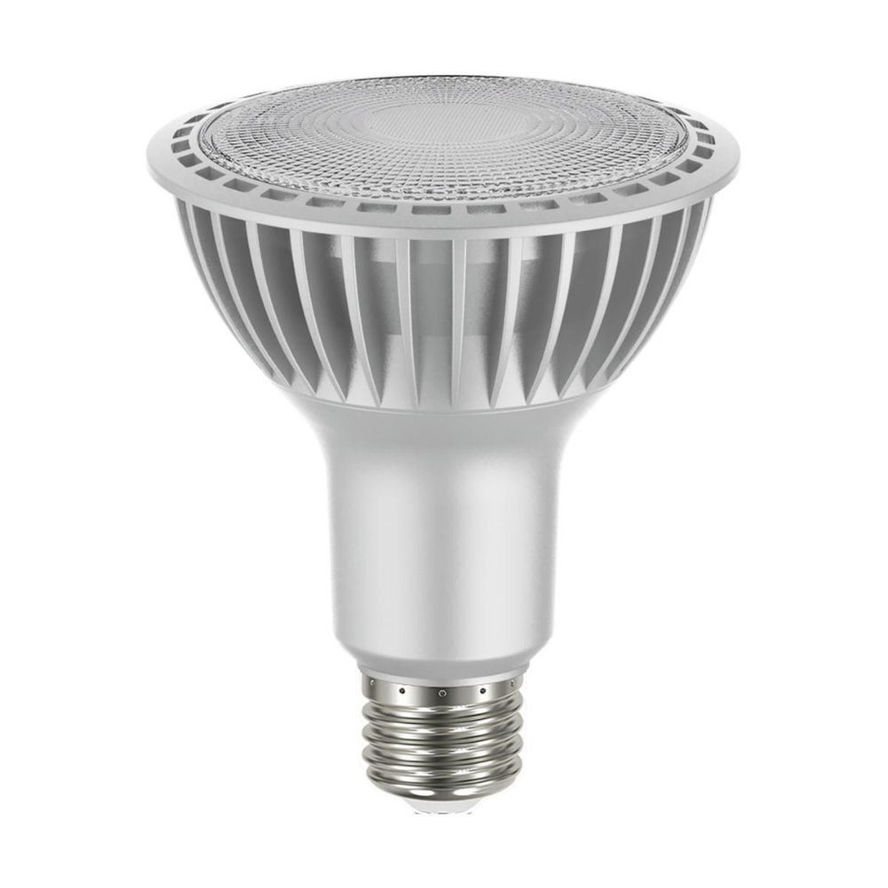 Satco by Nuvo Lighting S22240 LED Bulb in Silver
