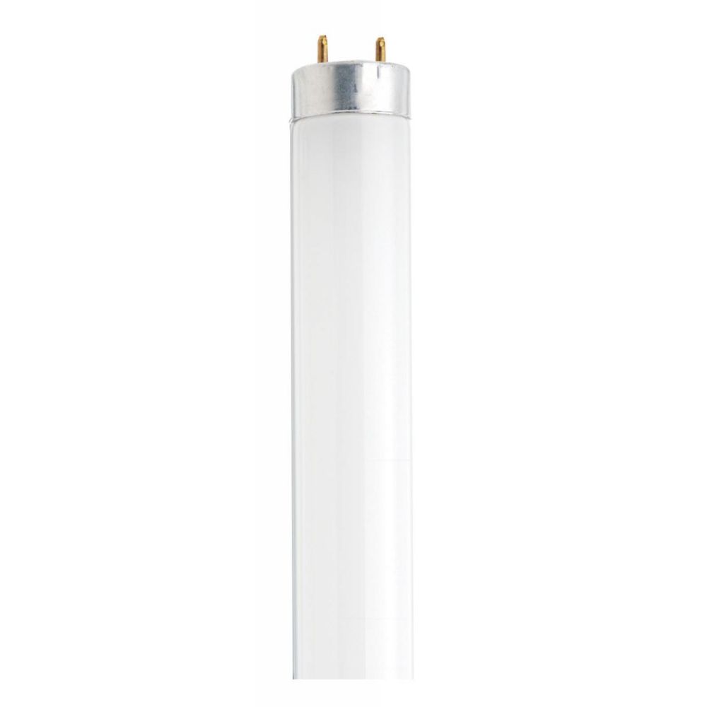 Satco by Nuvo Lighting S26513 Fluorescent Bulb in White