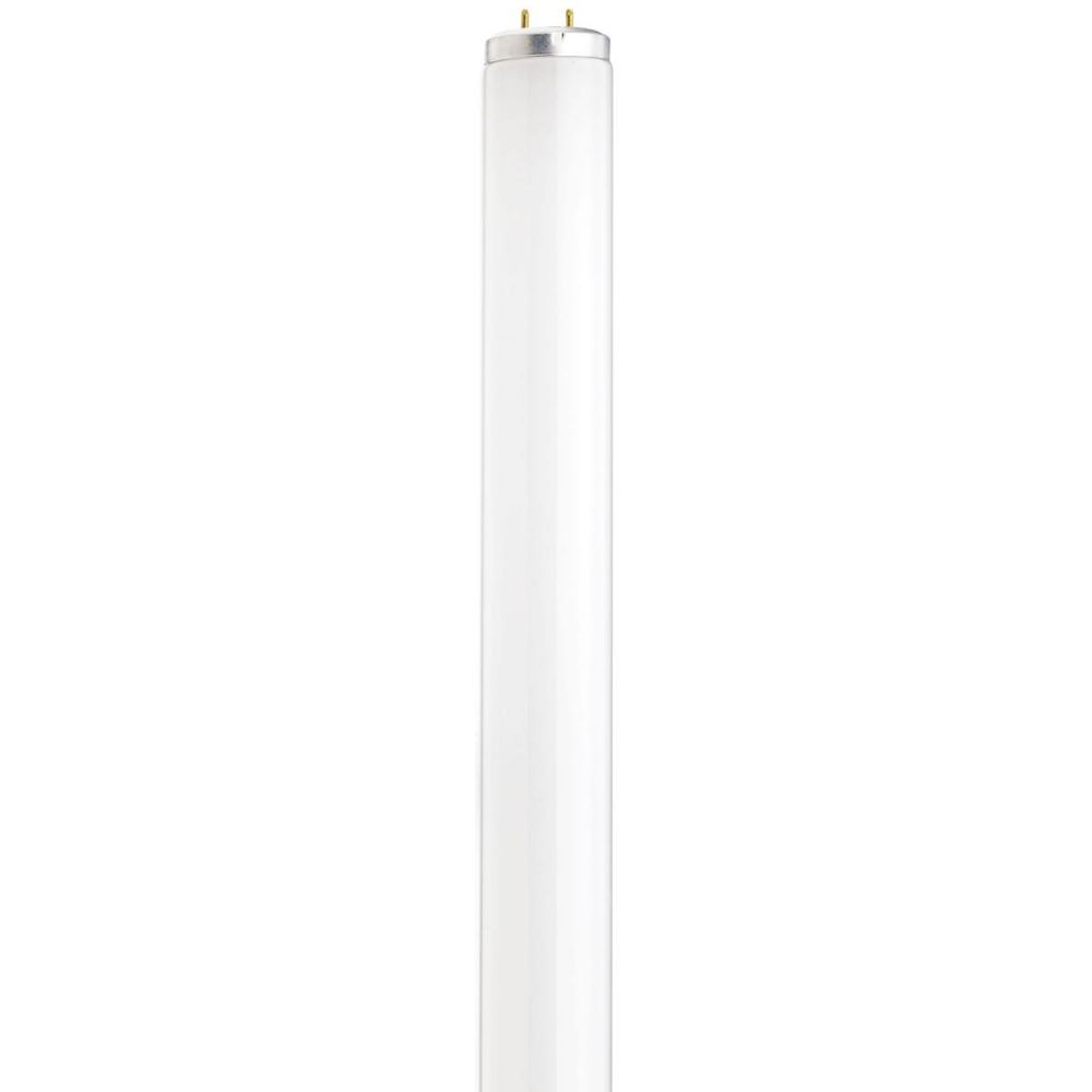Satco by Nuvo Lighting S26559 Fluorescent Bulb in Frost