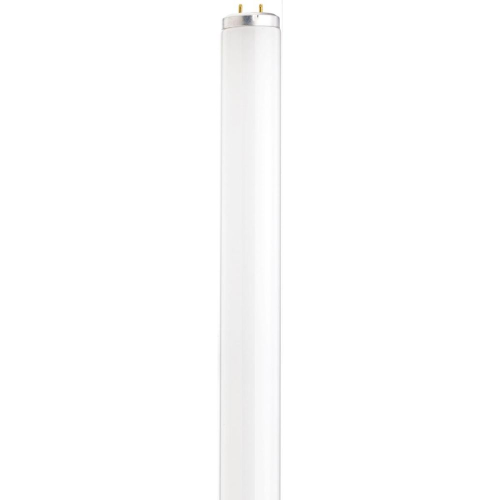 Satco by Nuvo Lighting S26562 Fluorescent Bulb in White