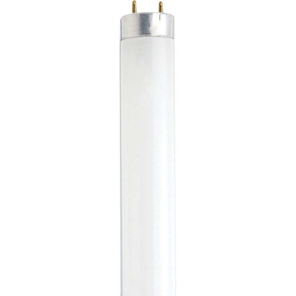 Satco by Nuvo Lighting S27931 Fluorescent Bulb in White