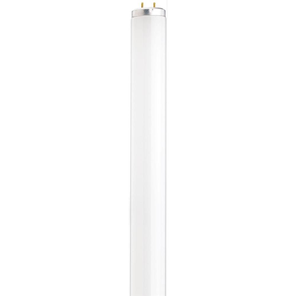 Satco by Nuvo Lighting S6563 Fluorescent Bulb in Frost