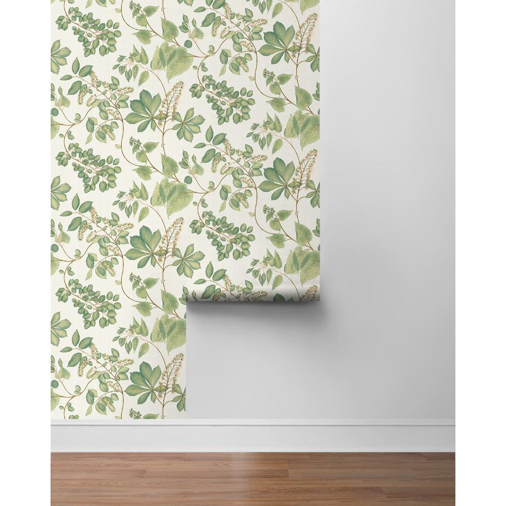 Surface Style 160122WR Arboretum Peel & Stick Wallpaper in Willow