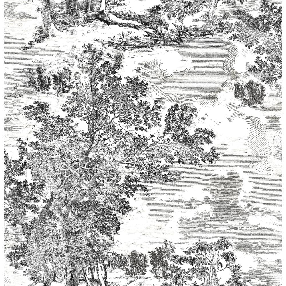 P. Kaufmann 160272WR Serene Scenes Peel & Stick Wallpaper in Charcoal