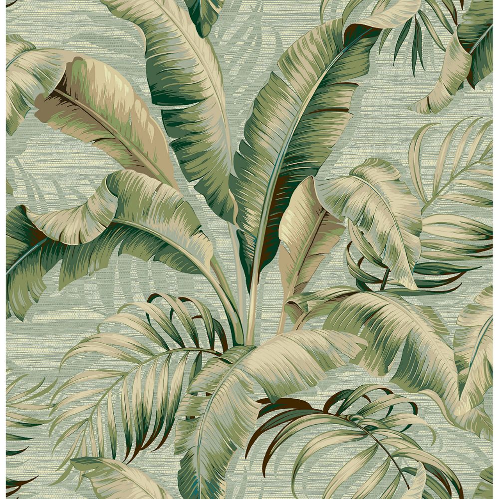 Tommy Bahama 802800WR Palmiers Peel and Stick Wallpaper in Seamist