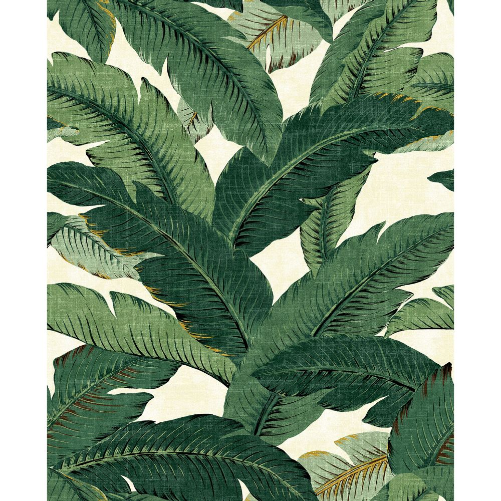 Tommy Bahama 802850WR Swaying Palms Peel and Stick Wallpaper in Aloe