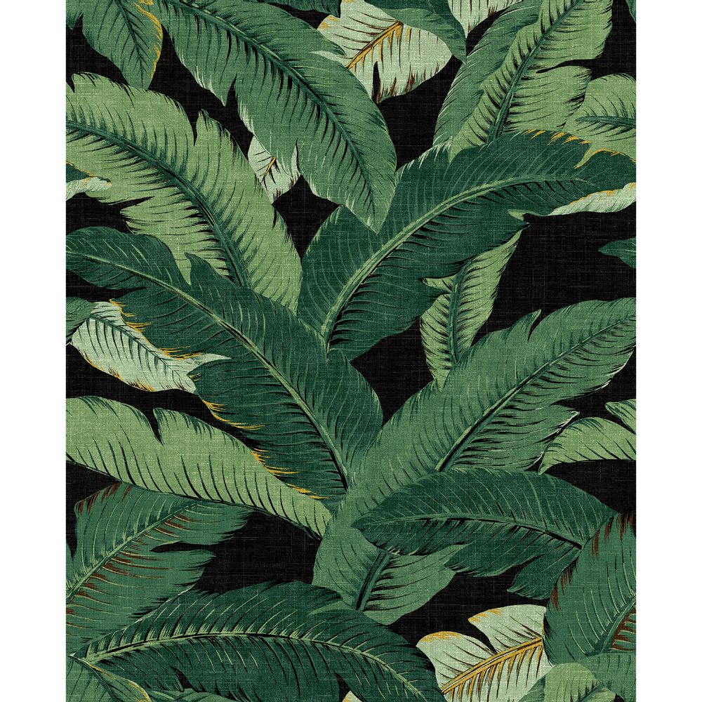 Tommy Bahama 802852WR Swaying Palms Peel and Stick Wallpaper in Coal