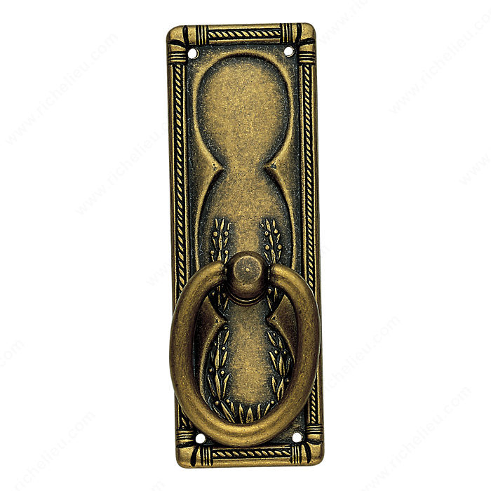 Richelieu Hardware 12233167 Art Deco Collection Brass Ring Pull - 122 in Floral Brass