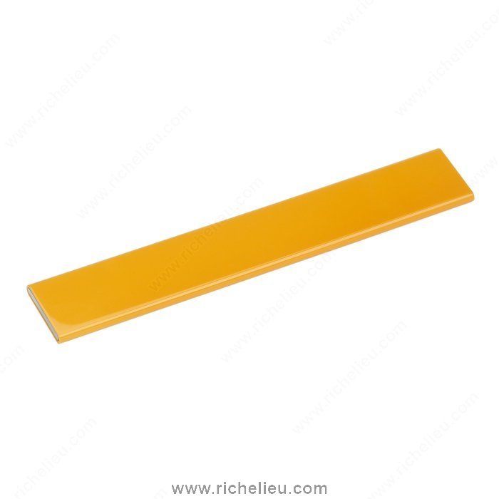 Richelieu Hardware 68916007 Contemporary Plastic Handle  -  689  - Chrome; Orange