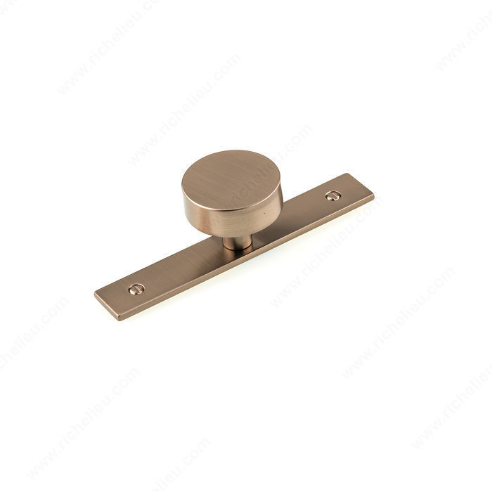 Richelieu BP229540CHBRZ Contemporary Metal Wardrobe Knob and Backplate - Champagne Bronze