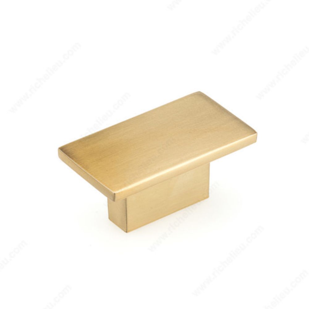 Richelieu BP8102116158 810 Contemporary Metal Knob in Aurum Brushed Gold