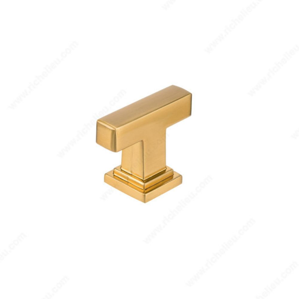 Richelieu Hardware BP864550158 Transitional Metal Knob - 8645 in Brushed Aurum Gold