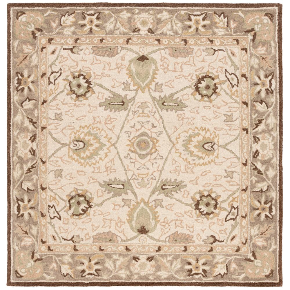 Safavieh AN512D-6SQ Hand Tufted Indoor 6