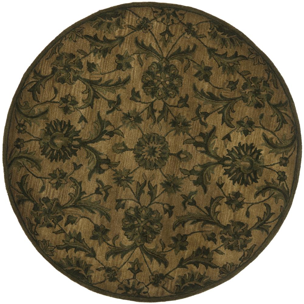 Safavieh AT824A-6R Antiquity Area Rug in Olive / Green