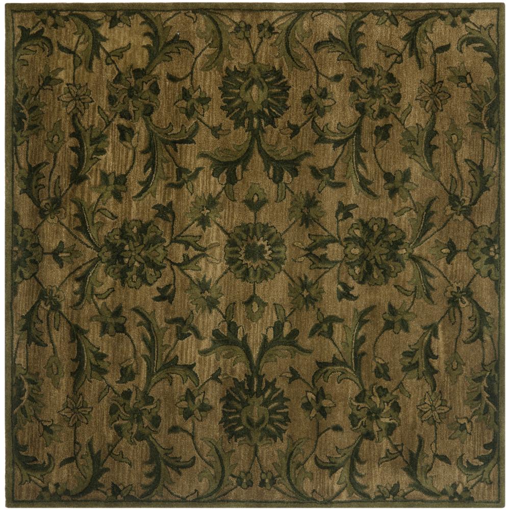 Safavieh AT824A-6SQ Antiquity Area Rug in Olive / Green