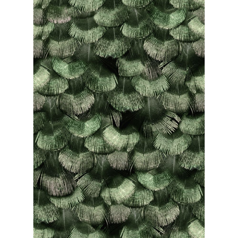 Rebel Walls R18554 Petite Peackock Plumage, Jade Wallpaper 