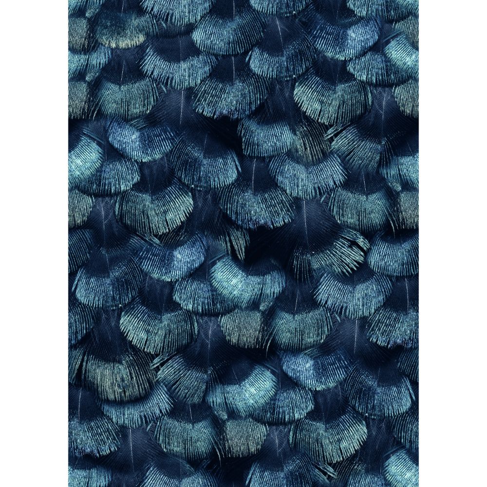Rebel Walls R18555 Petite Peacock Plumage, Teal Wallpaper 