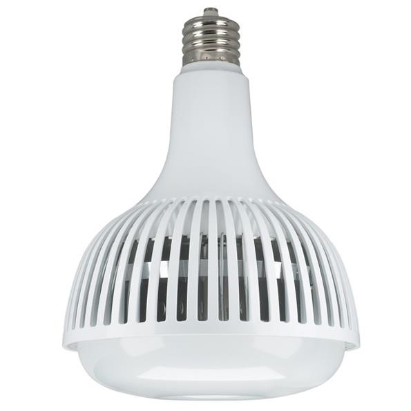 Satco S13113 LED Bulb in Translucent White