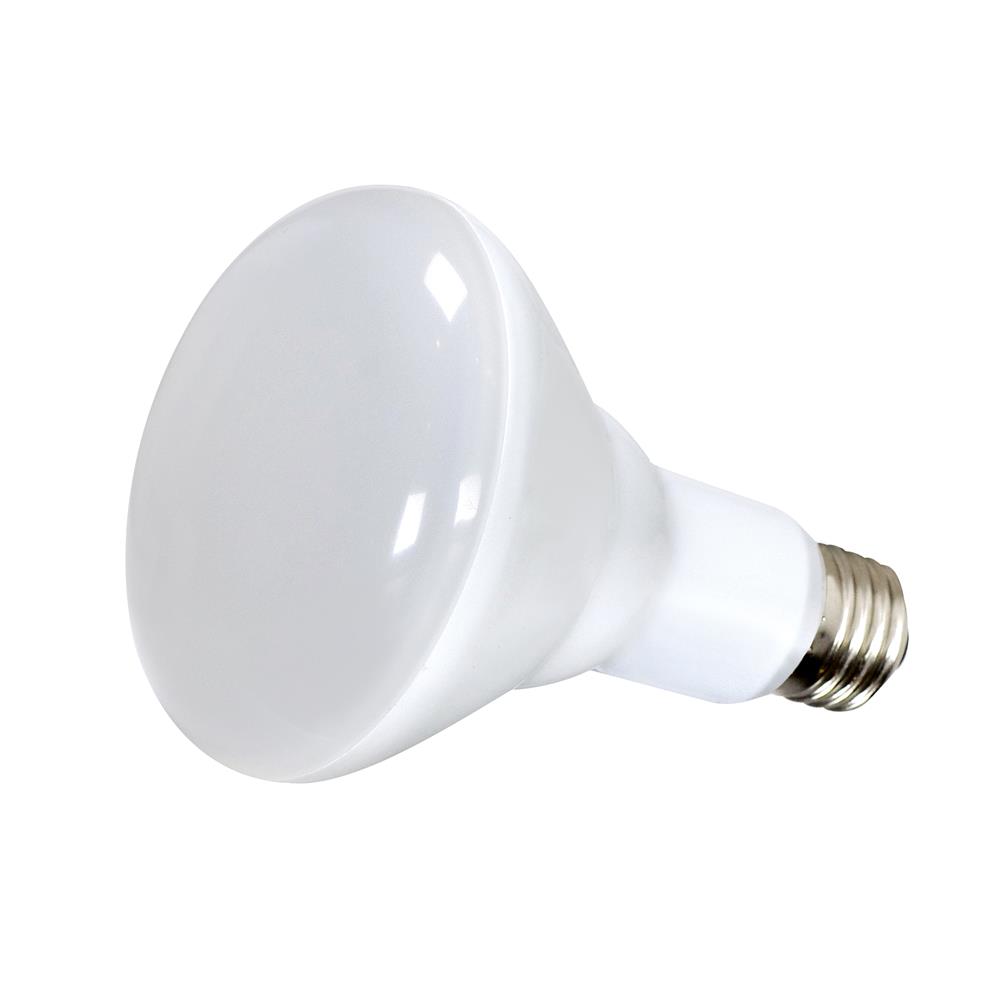 Satco S9021 LED Bulb in Frosted
