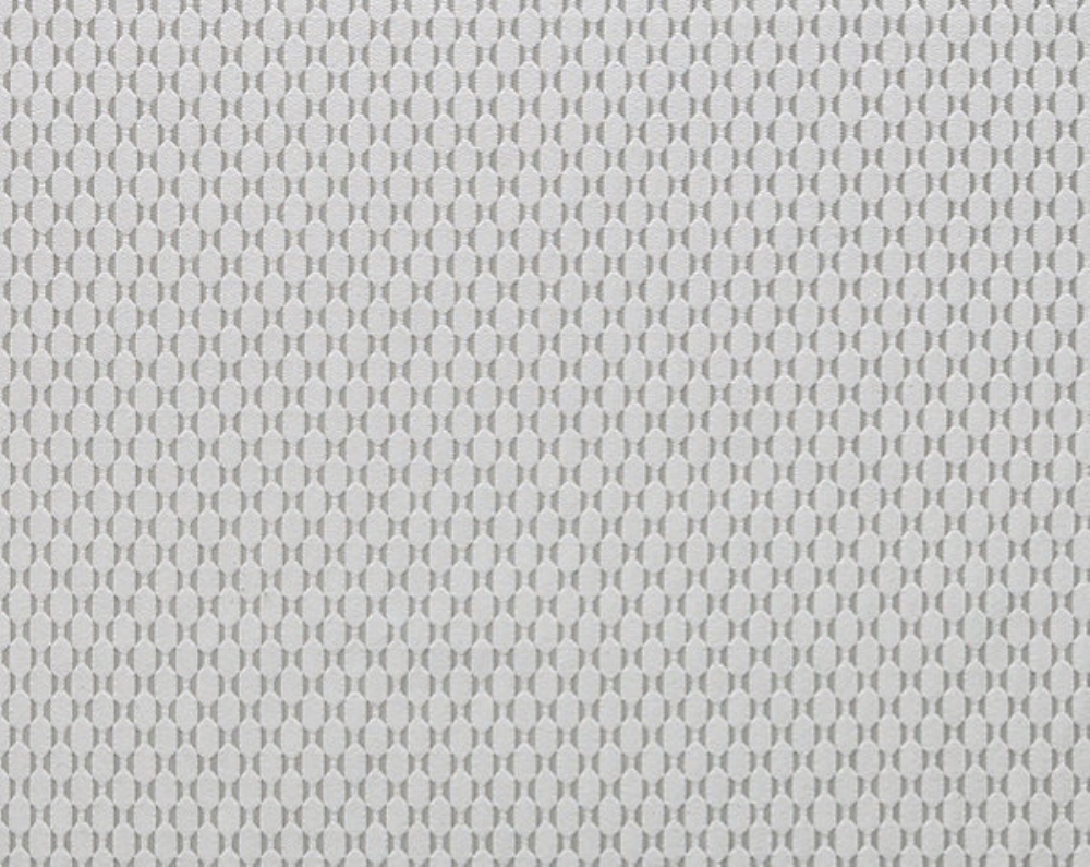 Scalamandre A9 00013600 Lumni Fabric in Silver White