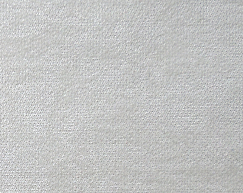 Scalamandre A9 00017700 Expert Fabric in Egret