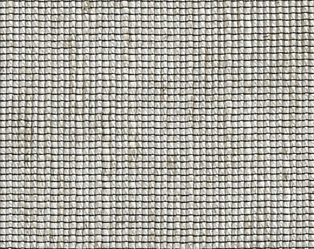 Scalamandre A9 00031822 Seed Sheer Fabric in Paglierino