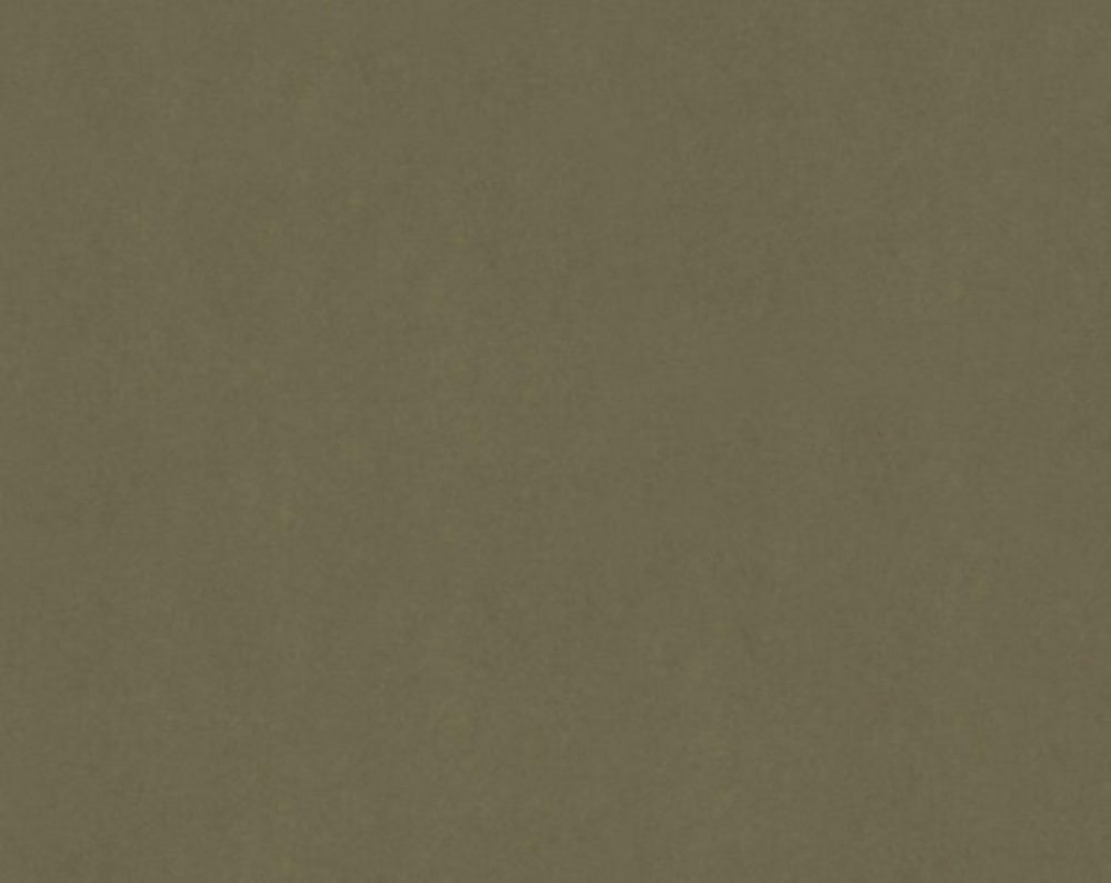 Scalamandre AB 10461000 Sensuede Fabric in Verde