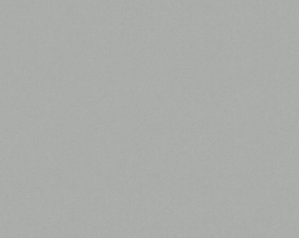 Scalamandre AB 10811000 Sensuede Fabric in Sistine Gray