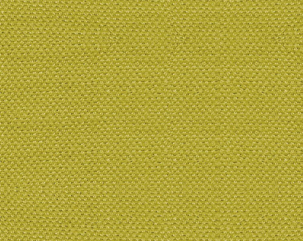 Scalamandre B8 00030110 Scirocco Fabric in Ginko