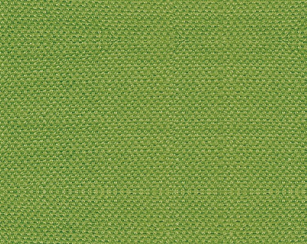 Scalamandre B8 00130110 Scirocco Fabric in Tendril