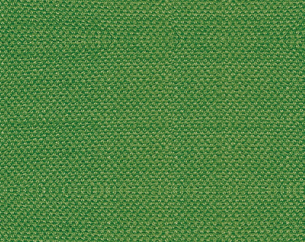 Scalamandre B8 00330110 Scirocco Fabric in Lizard