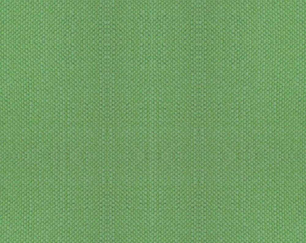 Scalamandre B8 00331100 Aspen Brushed Wide Fabric in Apple Green